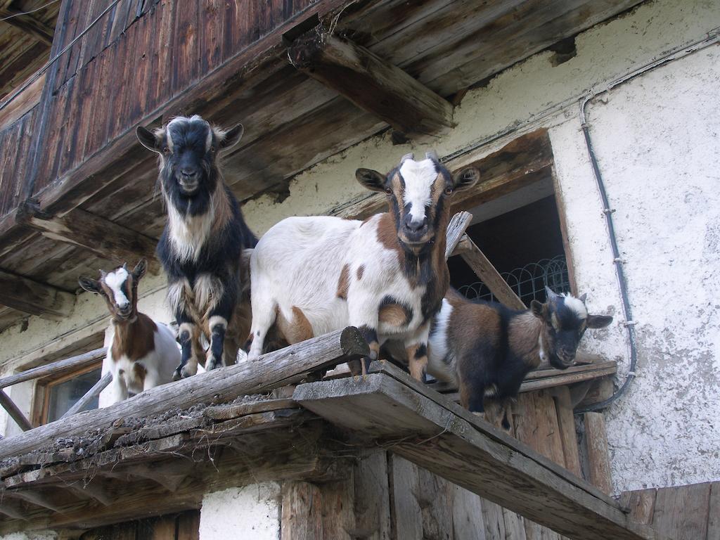 לוטאגו Oberschoellberghof מראה חיצוני תמונה